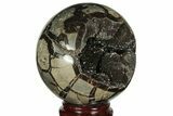 Polished Septarian Geode Sphere - Madagascar #215088-1